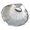 Concha Bautismo Nacarada Exterior Baño Plata Ley 09616-6S