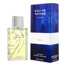 Eau de Rochas Homme 100 ml Eau de Toilette Rochas