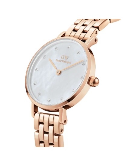 Daniel Wellington Women's Watch DW00100613 | Joyería Parejo