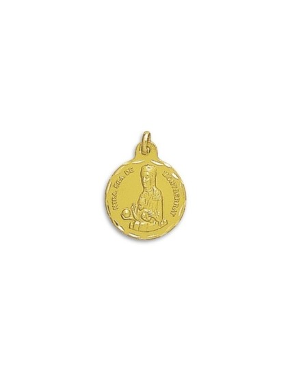 Medalla Virgen Montserrat Oro 18k + Rosa de Oro ✨