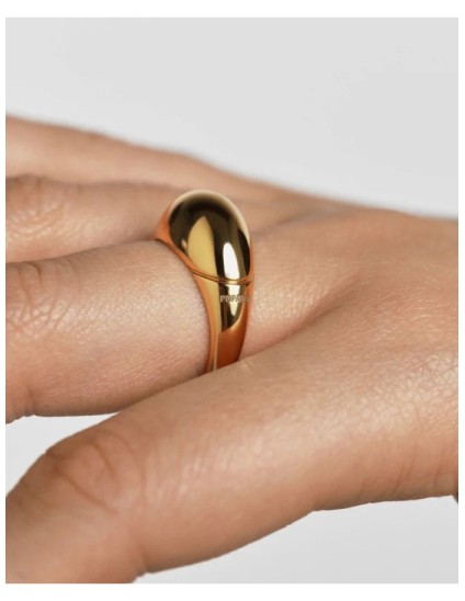 Anillo PDPaola Bamboo AN01-B24-14 Mujer Talla 14 | Joyería Parejo