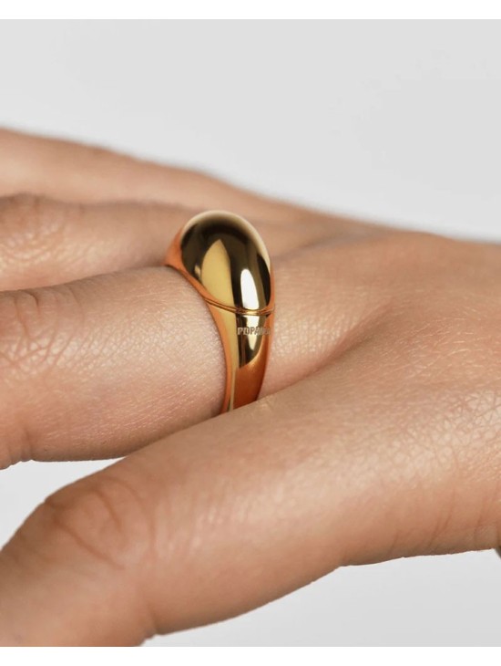 Anillo PDPaola Bamboo AN01-B24-14 Mujer Talla 14 | Joyería Parejo