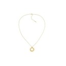 Collar Calvin Klein 35000761 Mujer