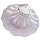 Concha Bautismo Nacarada Placa Mate 09314-12S