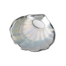 Concha Bautismo Nacarada Baño Plata Ley Placa Mate 09616-12S