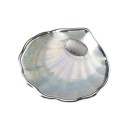 Concha Bautismo Nacarada Baño Plata Ley Placa Greca 09616-4S