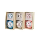 Chupetero y Portachupete RCNF231 Oso Peluche - Plástico, Plata Laminada