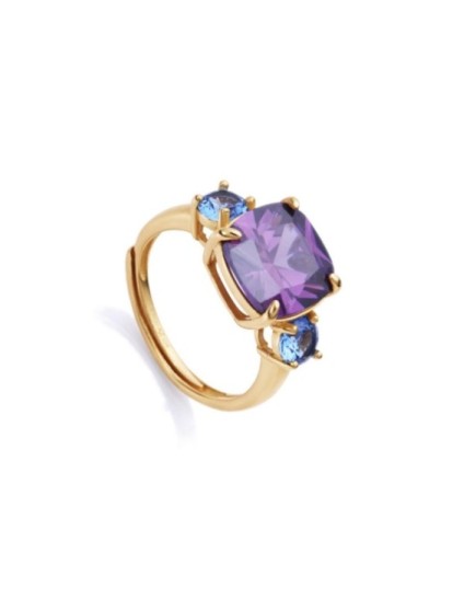 Anillo Viceroy Plata de Ley 13100A015-59 Baño Oro | Joyería Parejo