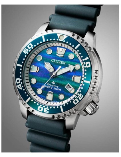 Reloj Citizen Promaster E. Limitada BN0167-09W | Joyería Parejo