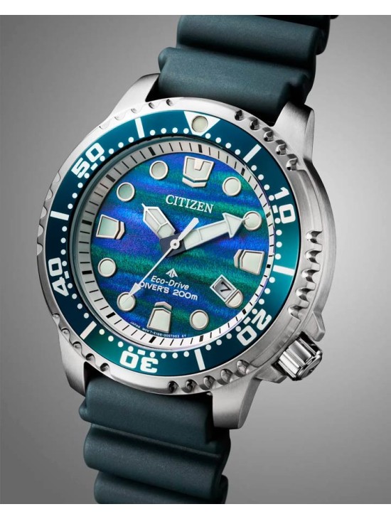 Reloj Citizen Promaster E. Limitada BN0167-09W | Joyería Parejo