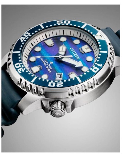 Reloj Citizen Promaster E. Limitada BN0167-09W | Joyería Parejo