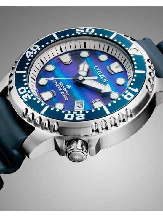 Reloj Citizen Promaster E. Limitada BN0167-09W | Joyería Parejo