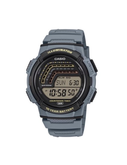 Reloj Casio Timeless WS-1800-2AVEF Hombre | Joyería Parejo