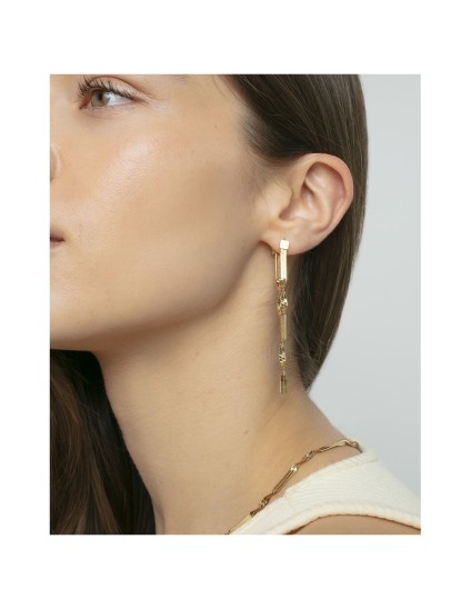 Brincos Viceroy Fashion 14290E01012 Aço IP Dourado Mulher