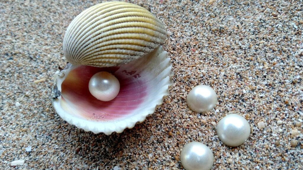 Perla australiana: Belleza exótica y su valor en el mercado 1 Perlas sobre arena