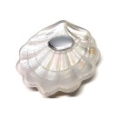 Baptism shells